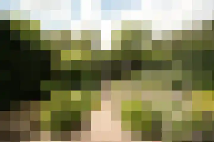 Klaas Frisohof 12 Putten thumbnail 19