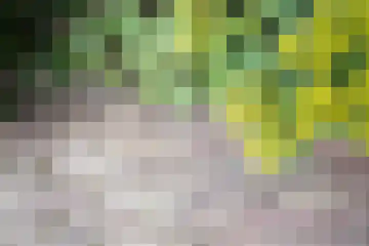 Klaas Frisohof 12 Putten thumbnail 20