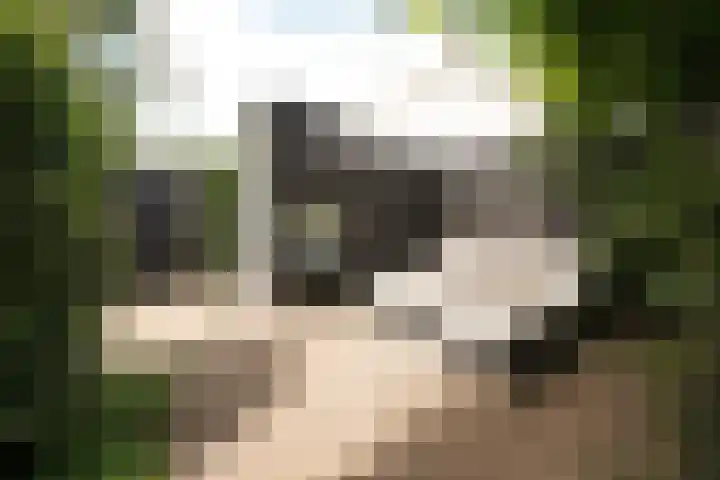 Klaas Frisohof 12 Putten thumbnail 21