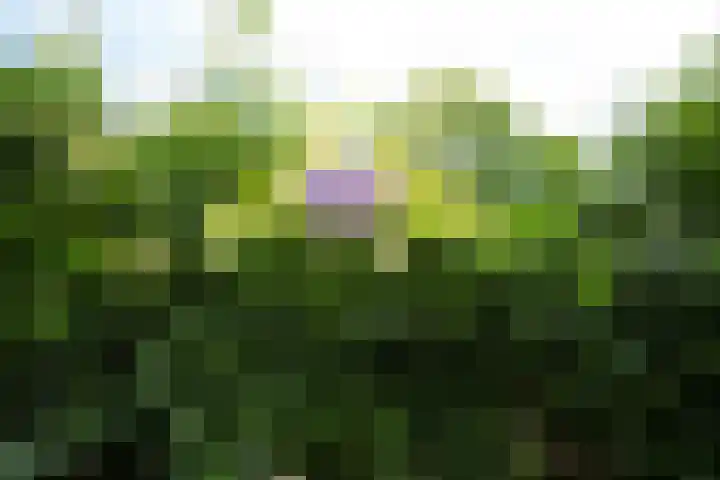 Klaas Frisohof 12 Putten thumbnail 22