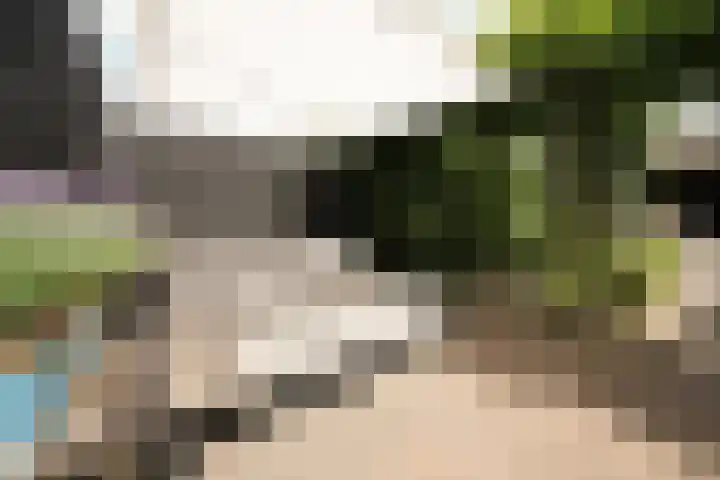 Klaas Frisohof 12 Putten thumbnail 23