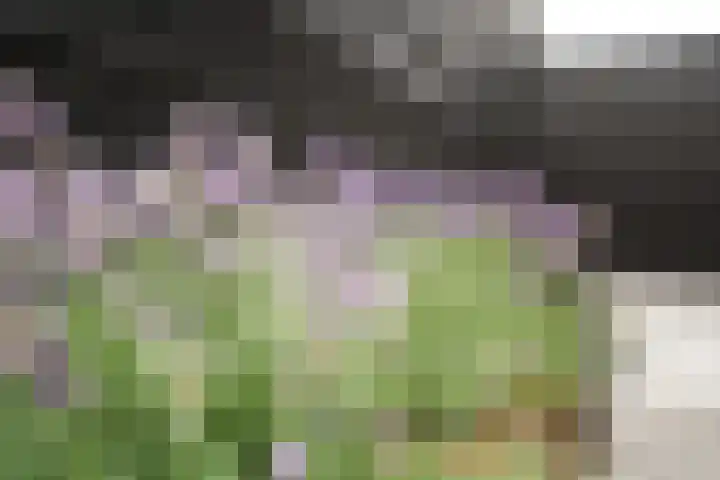 Klaas Frisohof 12 Putten thumbnail 24