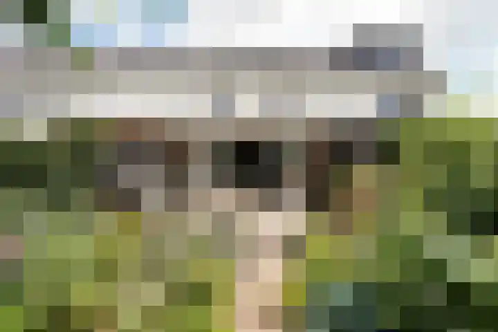 Klaas Frisohof 12 Putten thumbnail 25