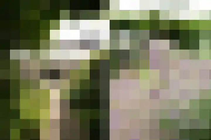 Klaas Frisohof 12 Putten thumbnail 27
