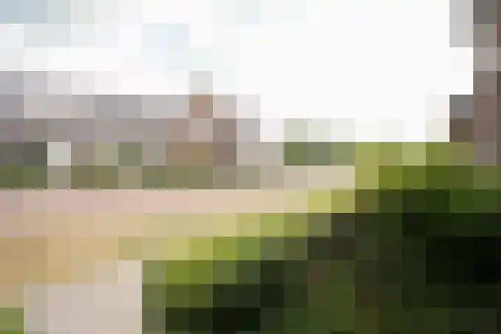 Klaas Frisohof 12 Putten thumbnail 46