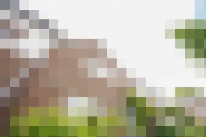 Klaas Frisohof 12 Putten thumbnail 47
