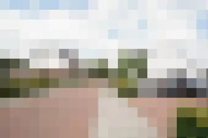 Klaas Frisohof 12 Putten thumbnail 48