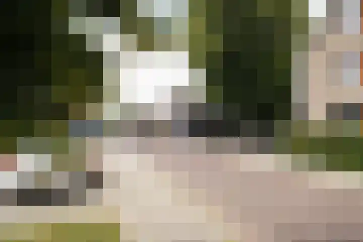 Klaas Frisohof 12 Putten thumbnail 49
