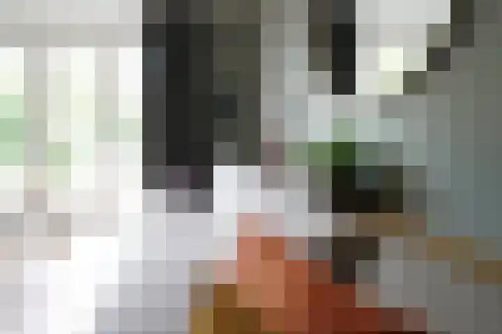 Klaas Frisohof 12 Putten thumbnail 5