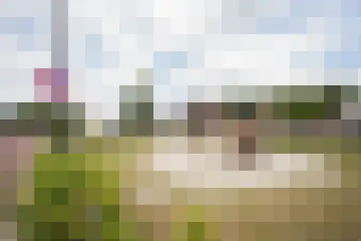 Klaas Frisohof 12 Putten thumbnail 51