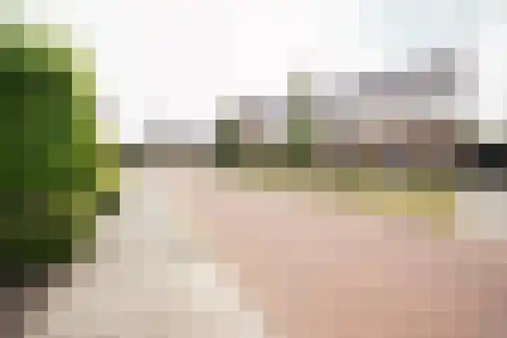 Klaas Frisohof 12 Putten thumbnail 52