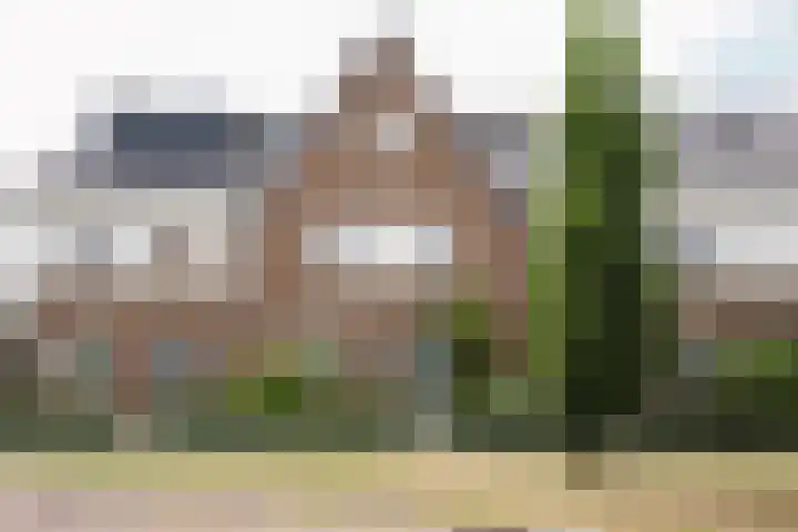 Klaas Frisohof 12 Putten thumbnail 57