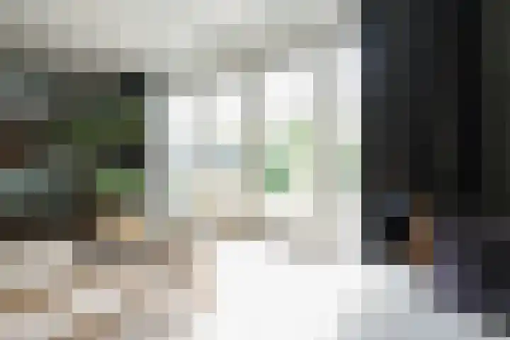 Klaas Frisohof 12 Putten thumbnail 6