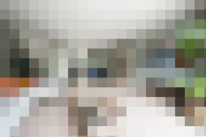 Klaas Frisohof 12 Putten thumbnail 7