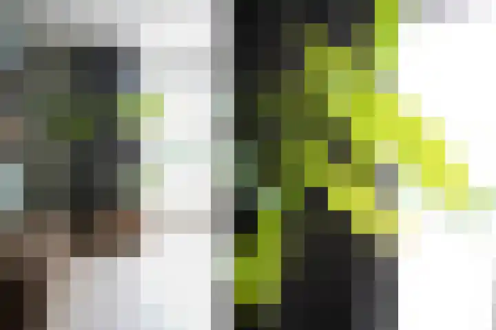 Klaas Frisohof 12 Putten thumbnail 8