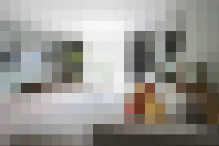 Klaas Frisohof 12 Putten thumbnail 9