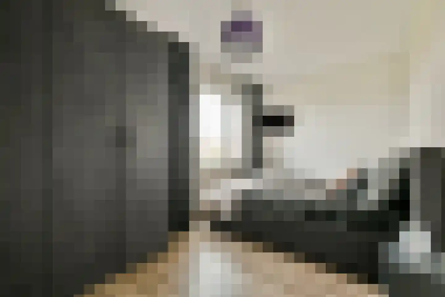 Klaas Geertsplantsoen 6 Amsterdam thumbnail 14