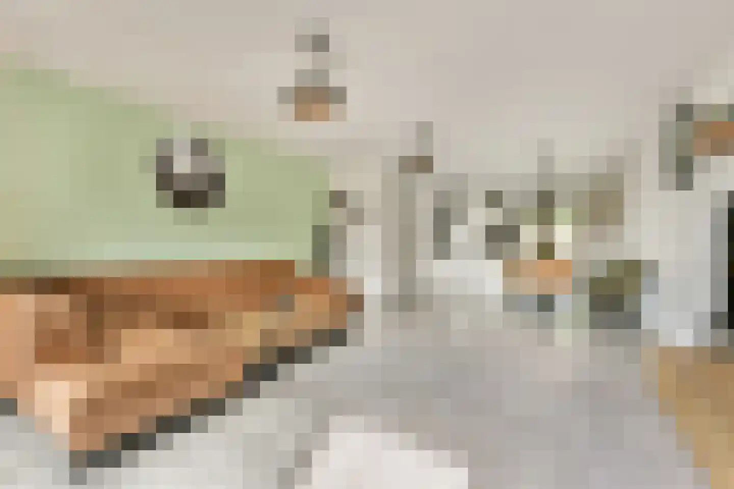 Klaas Geertsplantsoen 6 Amsterdam thumbnail 4