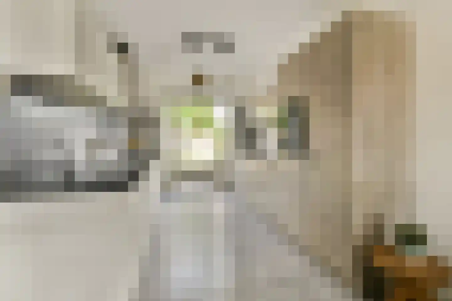 Klaas Geertsplantsoen 6 Amsterdam thumbnail 6
