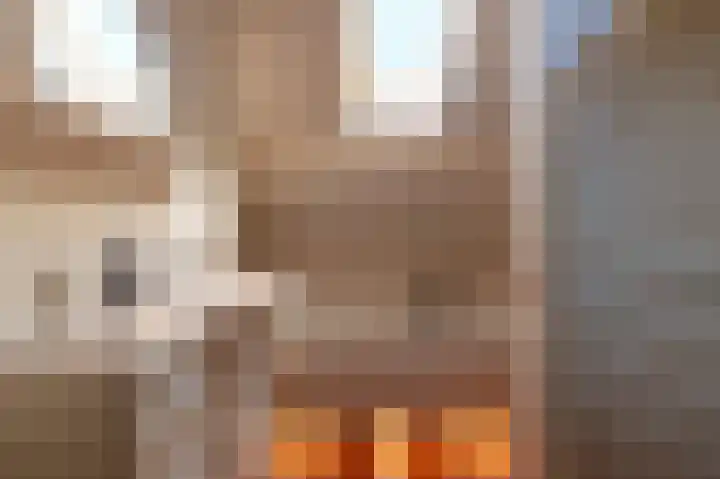 Klaas Gelkesstrjitte 12 Oudega thumbnail 25