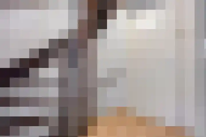 Klaas Katerstraat 12 Ridderkerk thumbnail 10