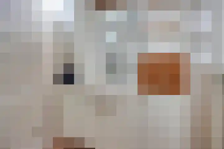 Klaas Katerstraat 12 Ridderkerk thumbnail 17