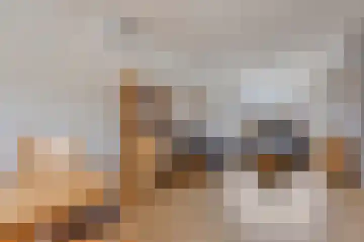 Klaas Katerstraat 12 Ridderkerk thumbnail 5