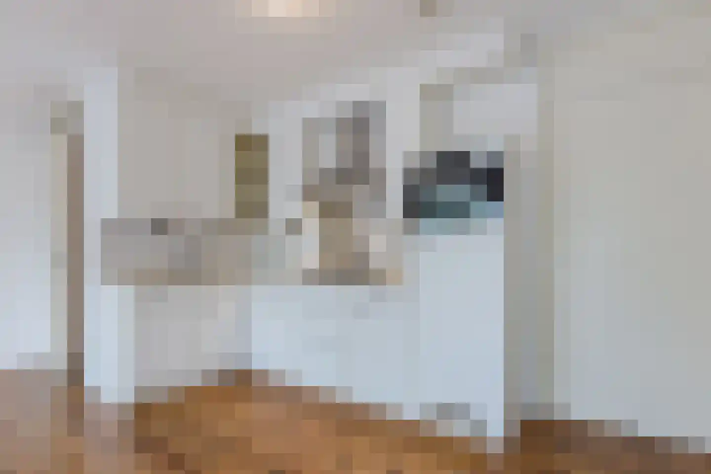 Klaas Katerstraat 158 Amsterdam thumbnail 27