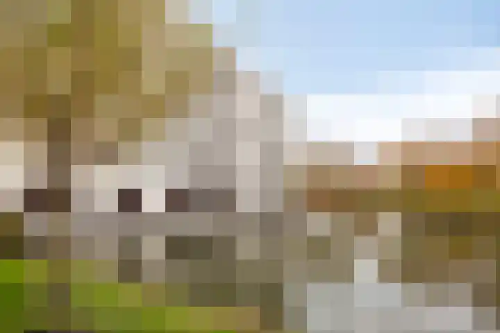 Klaas Katerstraat 33 Schiedam thumbnail 34