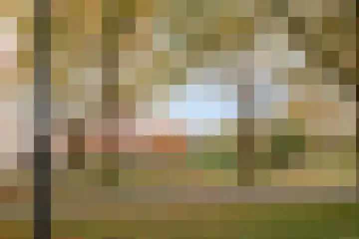 Klaas Katerstraat 33 Schiedam thumbnail 35