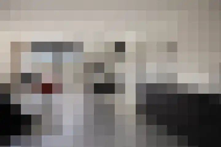 Klaas Katerstraat 33 Schiedam thumbnail 6