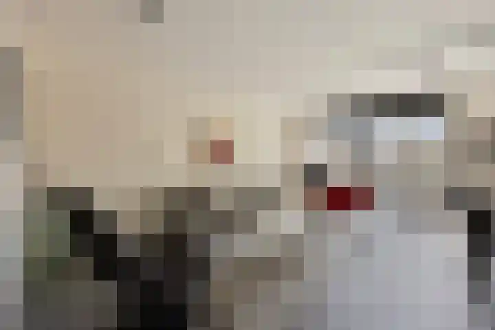 Klaas Katerstraat 33 Schiedam thumbnail 8