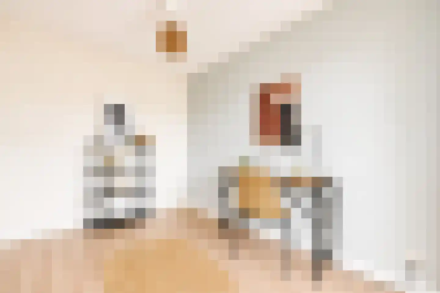 Klaas Katerstraat 34 Amsterdam thumbnail 11