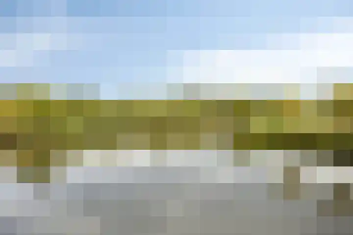 Klaas Katerstraat 63 Schiedam thumbnail 28