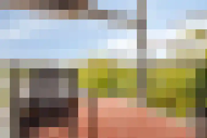 Klaas Katerstraat 63 Schiedam thumbnail 5