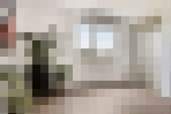 Klaas Katerstraat 63 Schiedam thumbnail 8