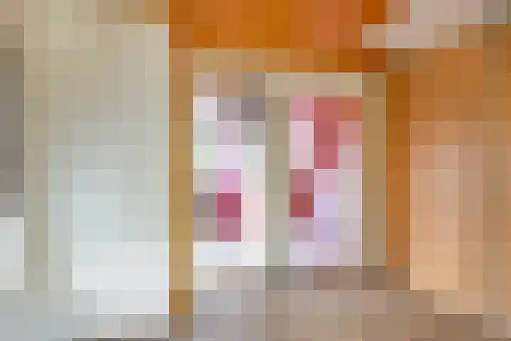 Klaas Klinkertweg 8 Capelle aan den IJssel thumbnail 21