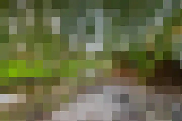 Klaas Klinkertweg 8 Capelle aan den IJssel thumbnail 24