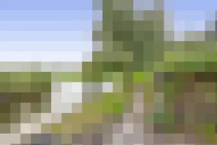 Klaas Klinkertweg 8 Capelle aan den IJssel thumbnail 27