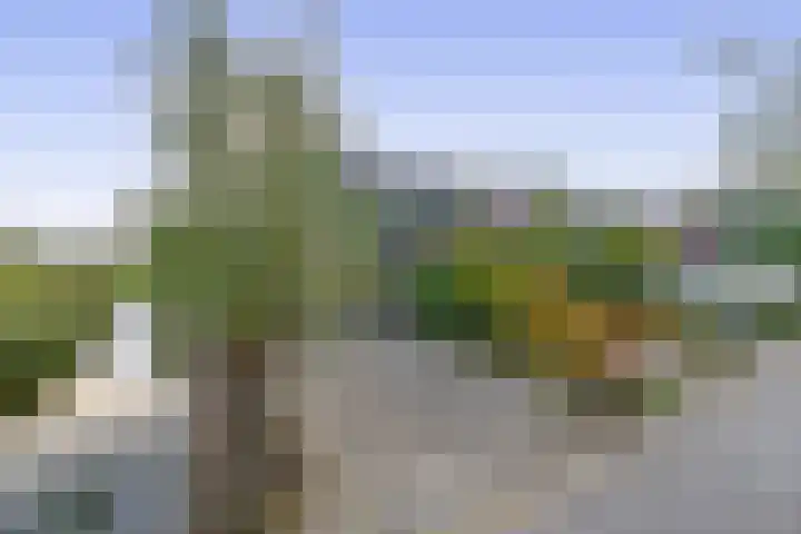 Klaas Klinkertweg 8 Capelle aan den IJssel thumbnail 30