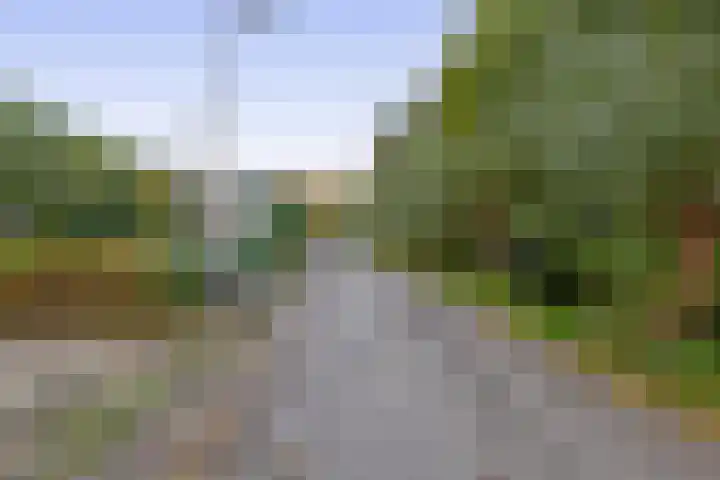 Klaas Klinkertweg 8 Capelle aan den IJssel thumbnail 33