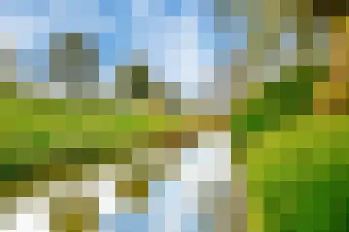Klaas Kompaanhof 6 Hoofddorp thumbnail 42