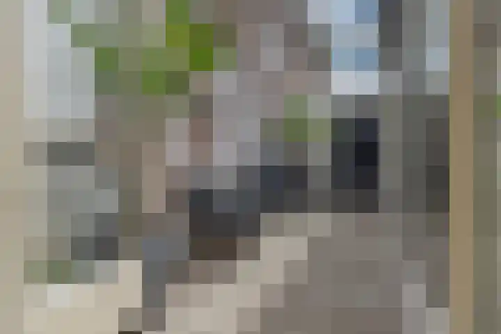 Klaas Listinghsteeg 7 Weesp thumbnail 17