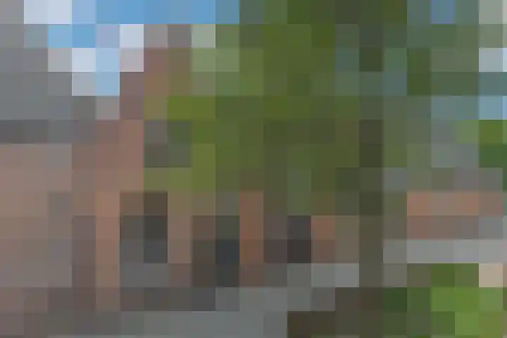 Klaas Listinghsteeg 7 Weesp thumbnail 20