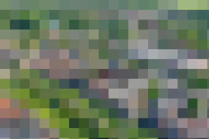 Klaas Listinghsteeg 7 Weesp thumbnail 33