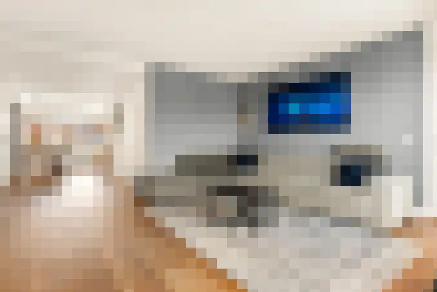 Klaas Pluisterhof 11 Heerhugowaard thumbnail 26