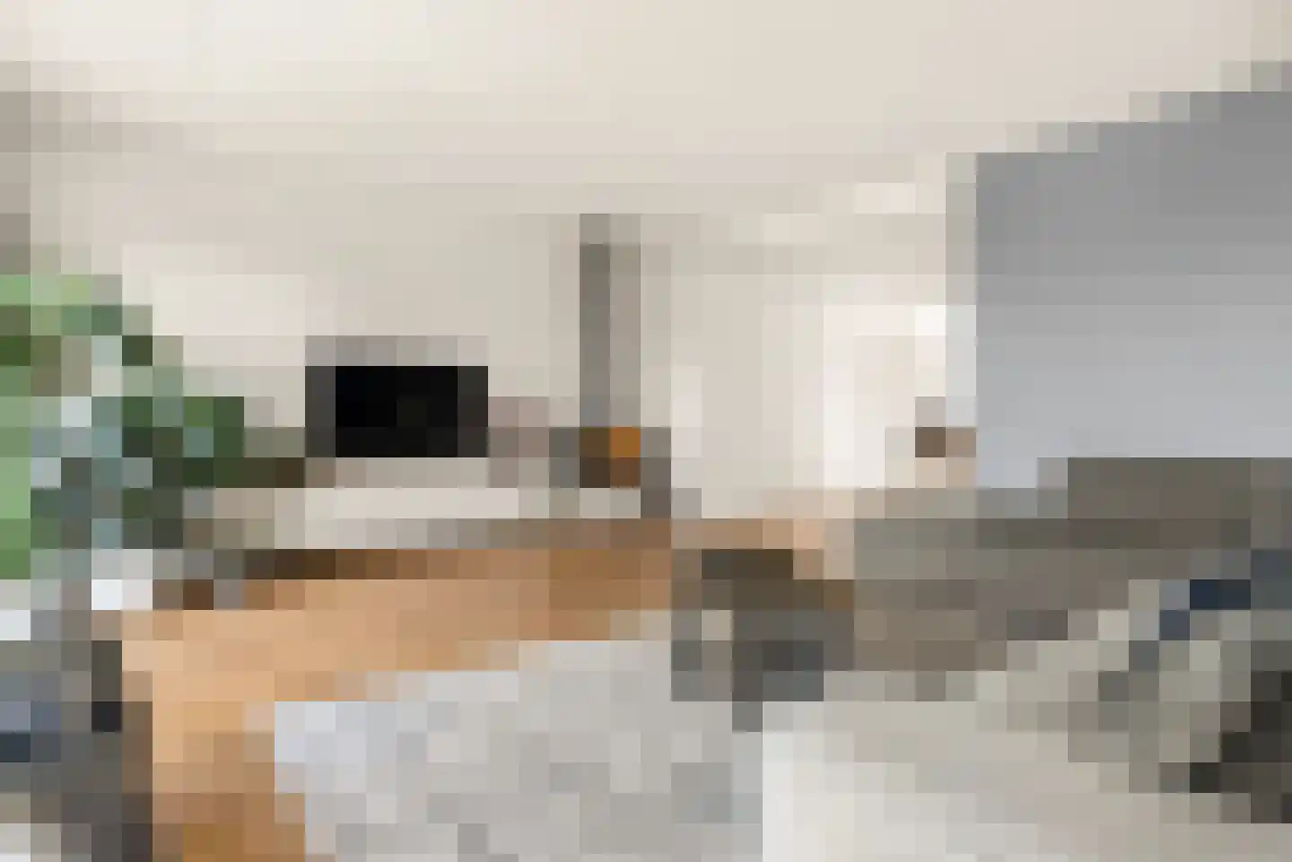 Klaas Pluisterhof 11 Heerhugowaard thumbnail 27
