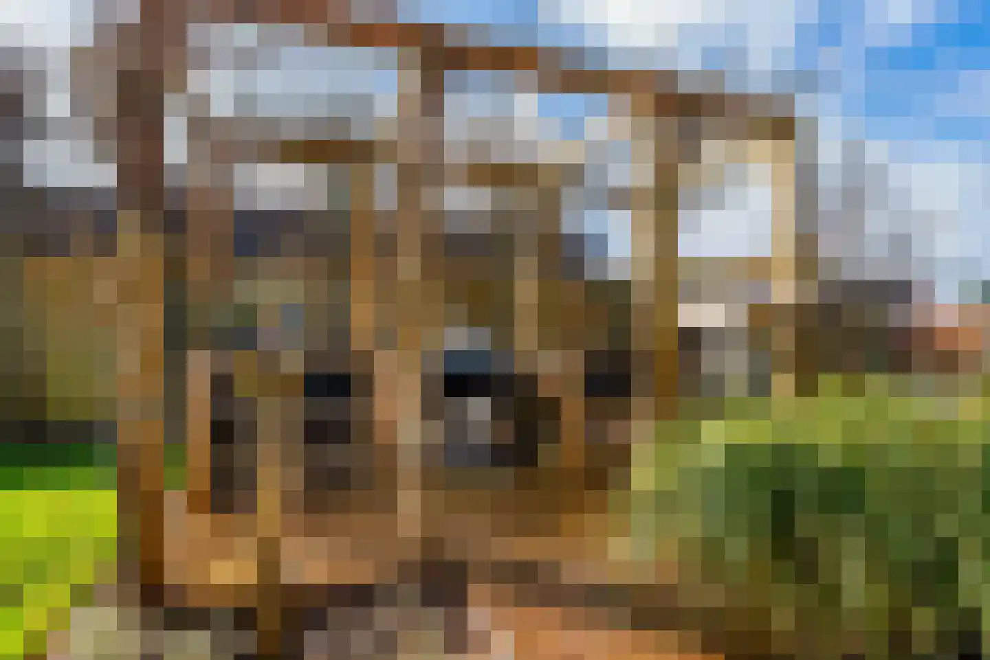 Klaas Pluisterhof 11 Heerhugowaard thumbnail 38
