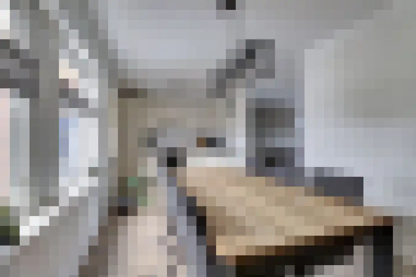 Klaas Rienewerfstrjitte 39 Mûnein thumbnail 13