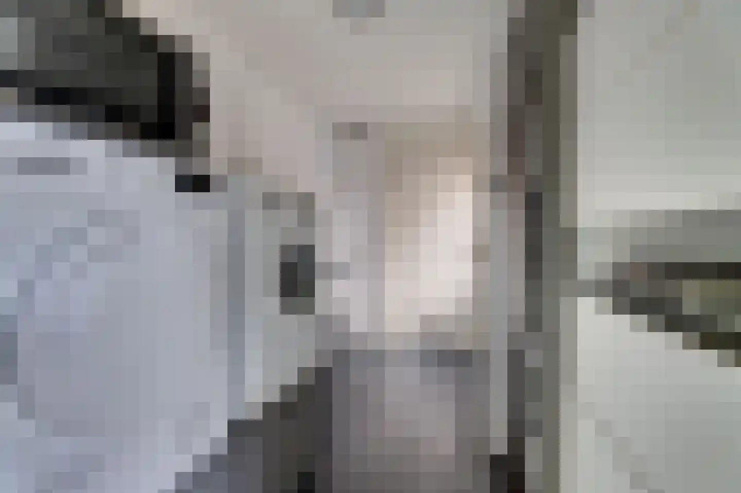Klaas Rienewerfstrjitte 39 Mûnein thumbnail 17